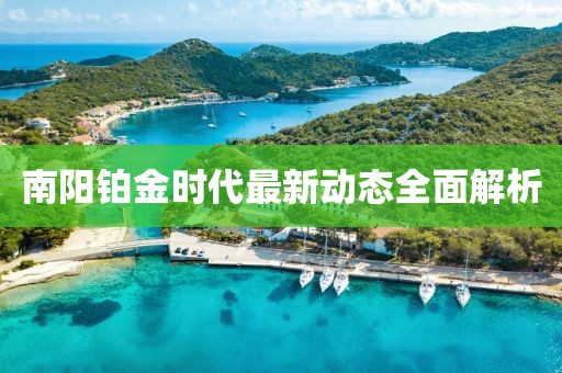 南陽鉑金時(shí)代最新動(dòng)態(tài)全面解析