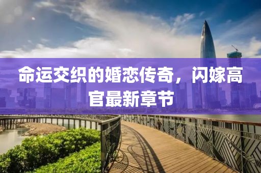 命運交織的婚戀傳奇，閃嫁高官最新章節(jié)