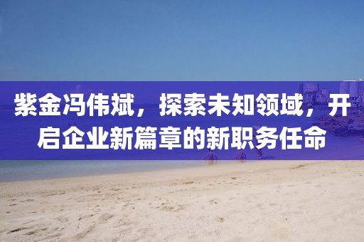 紫金馮偉斌，探索未知領(lǐng)域，開啟企業(yè)新篇章的新職務(wù)任命