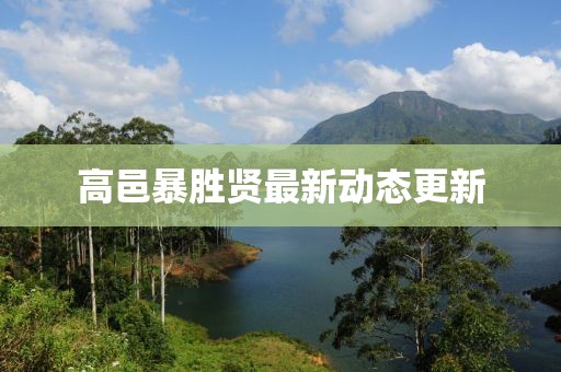 高邑暴勝賢最新動態(tài)更新