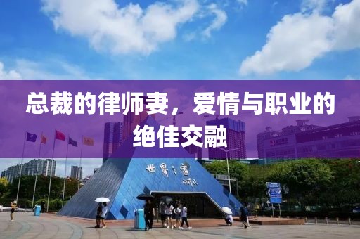 總裁的律師妻，愛情與職業(yè)的絕佳交融