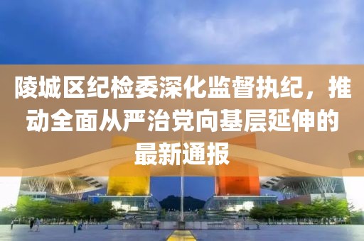 陵城區(qū)紀(jì)檢委深化監(jiān)督執(zhí)紀(jì)，推動全面從嚴(yán)治黨向基層延伸的最新通報