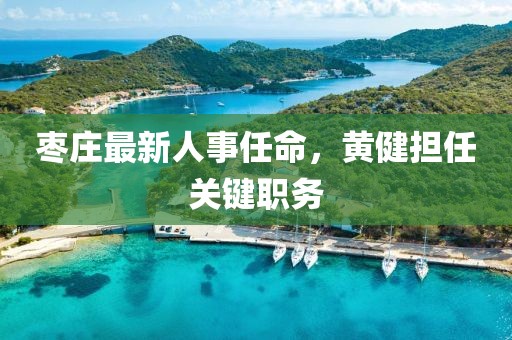 棗莊最新人事任命，黃健擔(dān)任關(guān)鍵職務(wù)