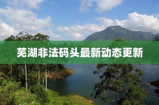 蕪湖非法碼頭最新動(dòng)態(tài)更新