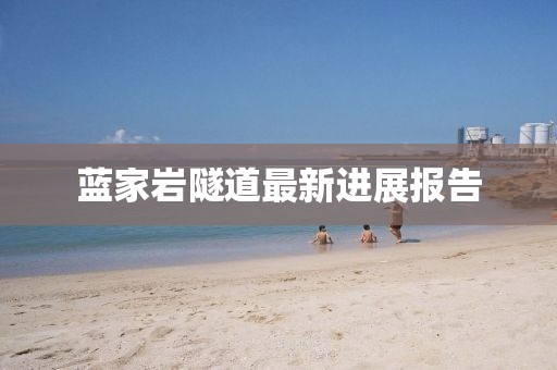 藍家?guī)r隧道最新進展報告