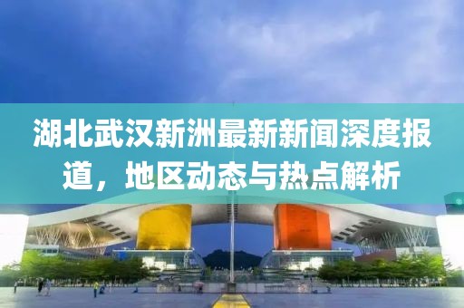 湖北武漢新洲最新新聞深度報道，地區(qū)動態(tài)與熱點解析