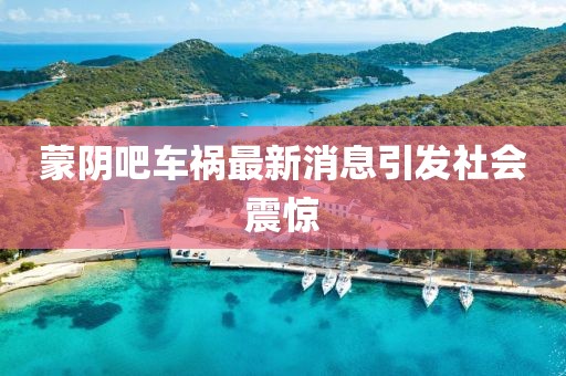 蒙陰吧車禍最新消息引發(fā)社會(huì)震驚