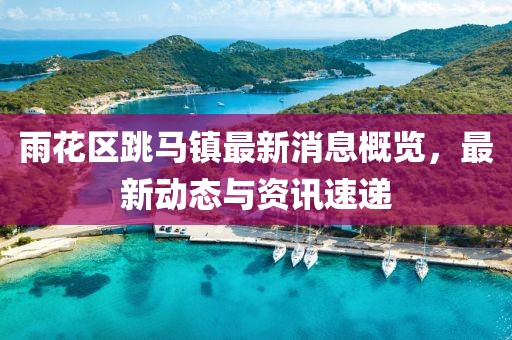 雨花區(qū)跳馬鎮(zhèn)最新消息概覽，最新動(dòng)態(tài)與資訊速遞