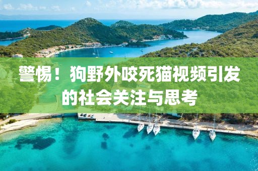 警惕！狗野外咬死貓視頻引發(fā)的社會(huì)關(guān)注與思考
