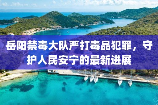 岳陽禁毒大隊嚴(yán)打毒品犯罪，守護人民安寧的最新進展