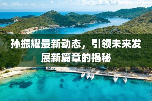 孫振耀最新動態(tài)，引領(lǐng)未來發(fā)展新篇章的揭秘
