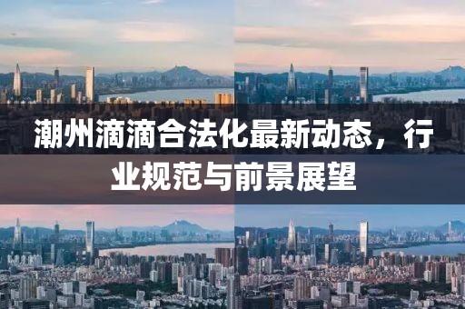 潮州滴滴合法化最新動(dòng)態(tài)，行業(yè)規(guī)范與前景展望