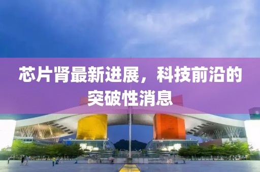 芯片腎最新進展，科技前沿的突破性消息