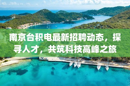 南京臺(tái)積電最新招聘動(dòng)態(tài)，探尋人才，共筑科技高峰之旅