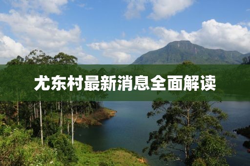 尤東村最新消息全面解讀