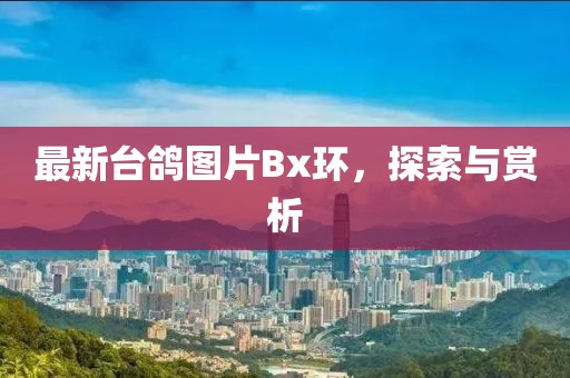 最新臺鴿圖片Bx環(huán)，探索與賞析