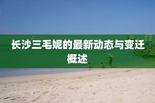長沙三毛妮的最新動態(tài)與變遷概述