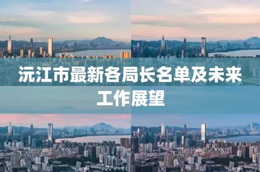 沅江市最新各局長名單及未來工作展望