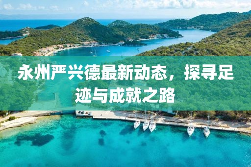 永州嚴(yán)興德最新動態(tài)，探尋足跡與成就之路