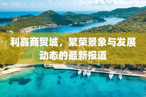 利嘉商貿(mào)城，繁榮景象與發(fā)展動態(tài)的最新報道