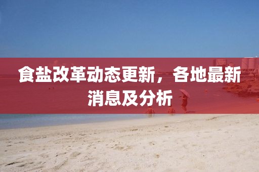 食鹽改革動態(tài)更新，各地最新消息及分析