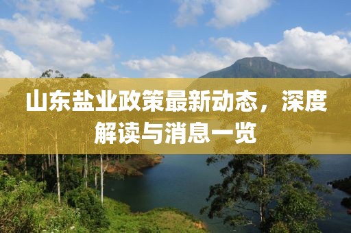 山東鹽業(yè)政策最新動(dòng)態(tài)，深度解讀與消息一覽