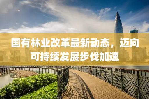 國(guó)有林業(yè)改革最新動(dòng)態(tài)，邁向可持續(xù)發(fā)展步伐加速