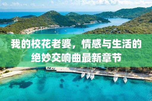 我的?；ɡ掀牛楦信c生活的絕妙交響曲最新章節(jié)