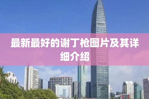 最新最好的謝丁槍圖片及其詳細介紹