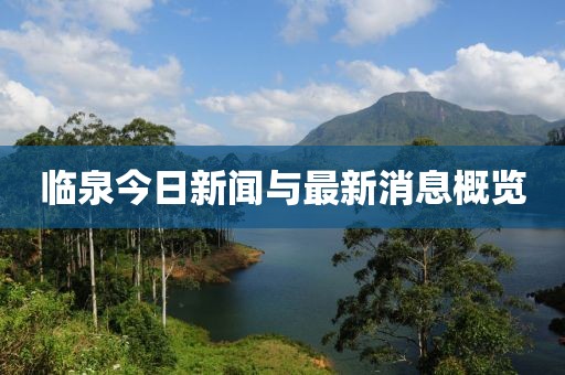 臨泉今日新聞與最新消息概覽