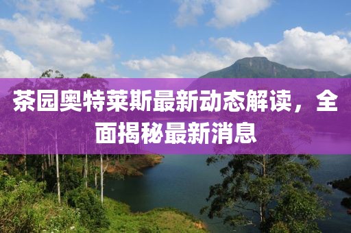茶園奧特萊斯最新動態(tài)解讀，全面揭秘最新消息