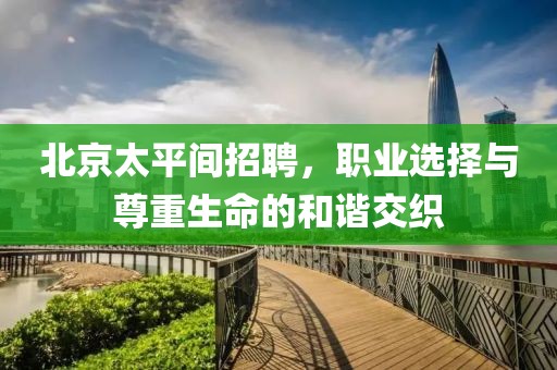 北京太平間招聘，職業(yè)選擇與尊重生命的和諧交織