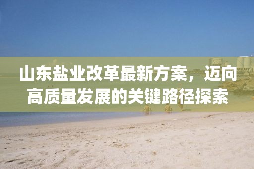山東鹽業(yè)改革最新方案，邁向高質量發(fā)展的關鍵路徑探索