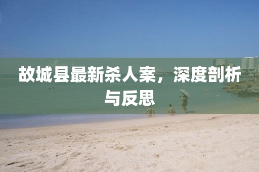 故城縣最新殺人案，深度剖析與反思