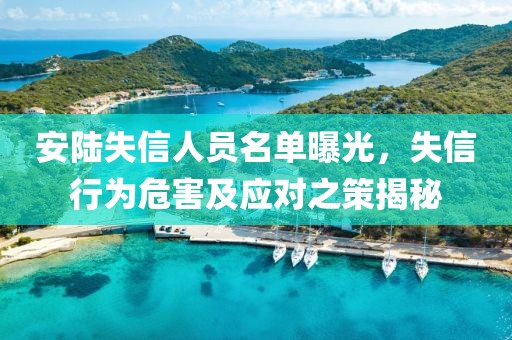 安陸失信人員名單曝光，失信行為危害及應(yīng)對(duì)之策揭秘