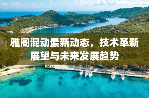 雅閣混動最新動態(tài)，技術(shù)革新展望與未來發(fā)展趨勢