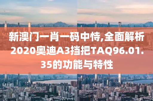 新澳門一肖一碼中恃,全面解析2020奧迪A3擋把TAQ96.01.35的功能與特性