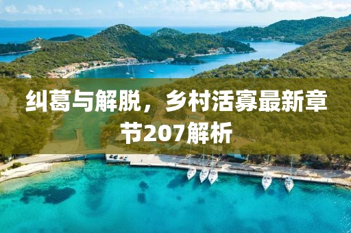 糾葛與解脫，鄉(xiāng)村活寡最新章節(jié)207解析