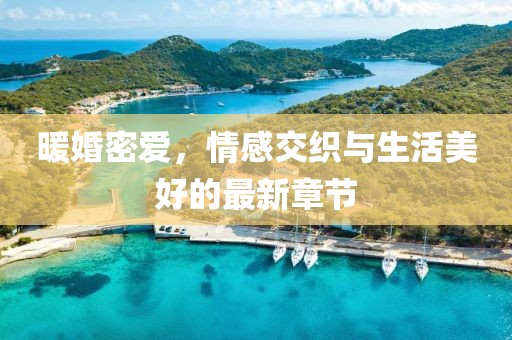 暖婚密愛，情感交織與生活美好的最新章節(jié)