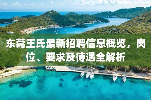 東莞王氏最新招聘信息概覽，崗位、要求及待遇全解析