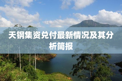 天鋼集資兌付最新情況及其分析簡報