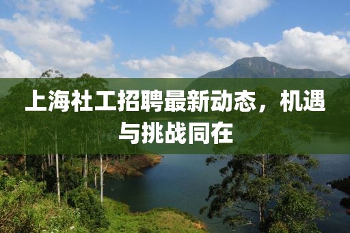 上海社工招聘最新動態(tài)，機(jī)遇與挑戰(zhàn)同在