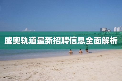 威奧軌道最新招聘信息全面解析