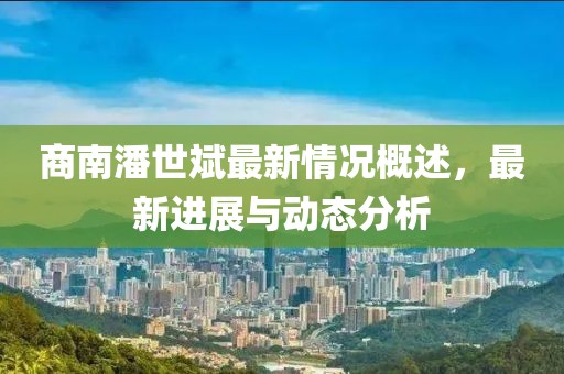 商南潘世斌最新情況概述，最新進展與動態(tài)分析