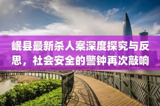 岷縣最新殺人案深度探究與反思，社會安全的警鐘再次敲響