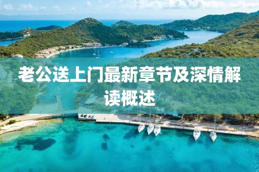老公送上門最新章節(jié)及深情解讀概述