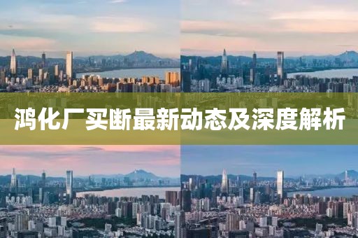 鴻化廠買斷最新動態(tài)及深度解析