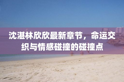 沈湛林欣欣最新章節(jié)，命運交織與情感碰撞的碰撞點