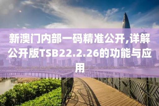 新澳門內部一碼精準公開,詳解公開版TSB22.2.26的功能與應用