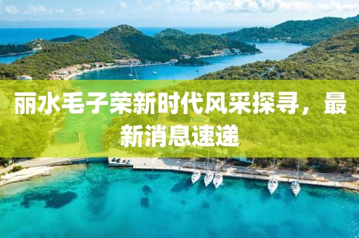 麗水毛子榮新時代風采探尋，最新消息速遞
